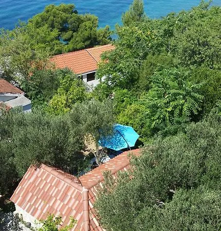 Apartment Apartments Beach Vile Holiday