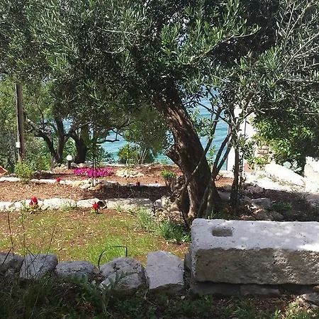 Apartments Beach Vile Holiday